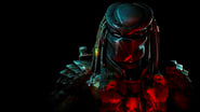 Predator 2