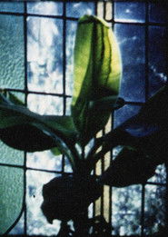 Poster Articulated Image 1996