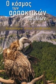 Ο κόσμος των αρπακτικών πουλιών – Δικαίωμα στην Επιβίωση