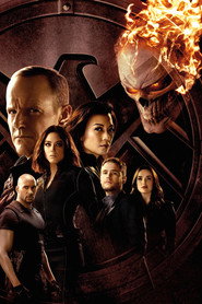 Marvel's Agents of S.H.I.E.L.D. Season 4 27