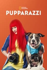 Pupparazzi Episode Rating Graph poster