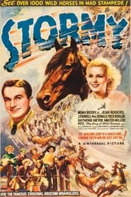 Poster Stormy 1935