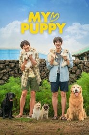 My Heart Puppy 2023 Hindi Dubbed