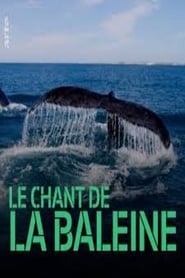 Le chant de la baleine