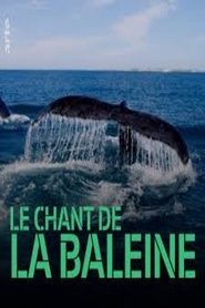 Poster Whale Patrol 2009