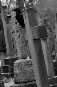 A Little Bit More Appetising