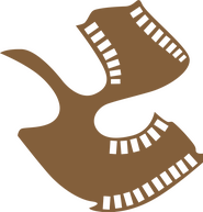 Satyajit Ray Film & Television Institute