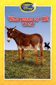 Poster Wild Burro of the West