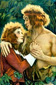 Poster Investigating Tarzan
