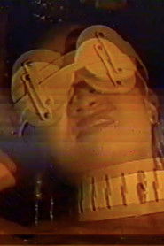 The Spartacus Video Catalog