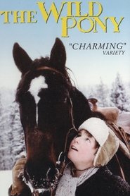 Poster The Wild Pony 1983