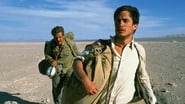 The Motorcycle Diaries