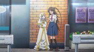 Counter Stop (Identity Unknown)