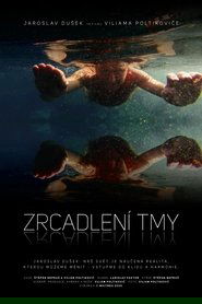 Poster Zrcadlení tmy 2020