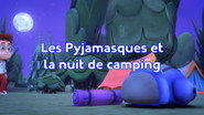 Les Pyjamasques et la nuit de camping