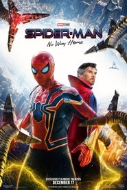 Spider-Man: No Way Home (2021) Hindi Dubbed (Original Audio)