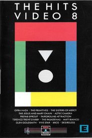 The Hits Video 8