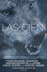 Poster Las cieni 2014