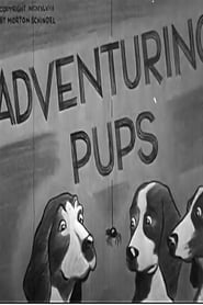 Adventuring Pups