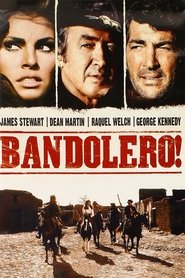 Bandolero! 1968 映画 吹き替え