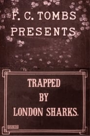 Poster Trapped by London Sharks