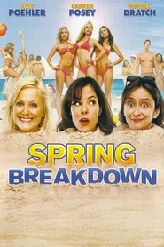 Film Spring Breakdown en streaming