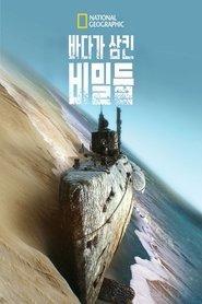 바다가 삼킨 비밀들