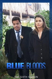 Blue Bloods Season 6 5