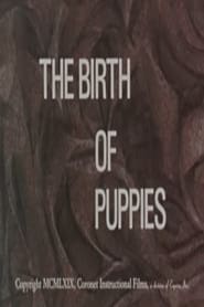Poster The Birth of Puppies
