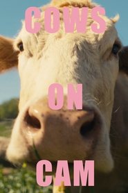 COWS ON CAM 2025 Δωρεάν απεριόριστη πρόσβαση