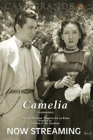 Poster Camelia