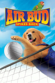 Air Bud: Spikes Back - He's The Coolest Player Under The Sun! - Azwaad Movie Database