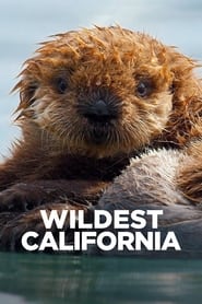 Wildest California 2021