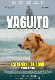 Vaguito, te esperaré en la orilla (2024) Cliver HD - Legal - ver Online & Descargar