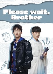 Please Wait, Brother (2020)