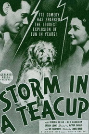 Storm in a Teacup постер