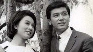 3人家族