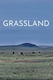 Grassland (2023)