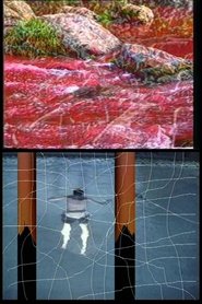 Poster Navigations 1995