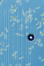 Poster Reclaiming Vision 2018