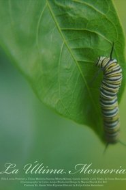La Última Memoria (2025)