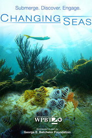 Changing Seas постер
