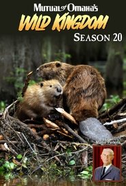 Season 20