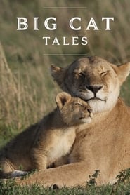 Big Cat Tales Episode Rating Graph poster