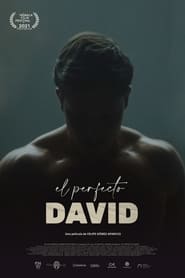 El perfecto David