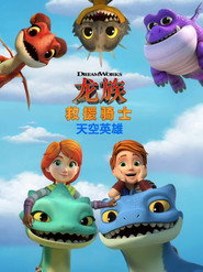 龙族救援骑士：天空英雄