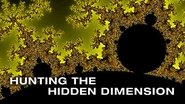 Hunting The Hidden Dimension