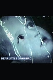 Dear Little Lightbird (1968)
