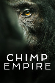 Chimp Empire Limited Series 5
