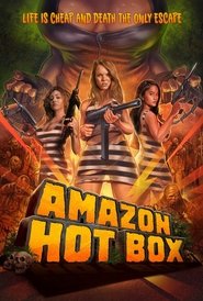 Voir Amazon Hot Box en streaming vf gratuit sur streamizseries.net site special Films streaming